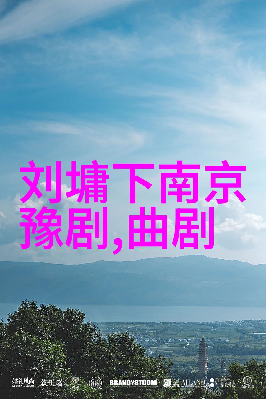 豫剧名家高洁